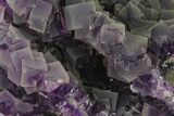 Frosted, Purple Cubic Fluorite Crystal Cluster - China #138083-1